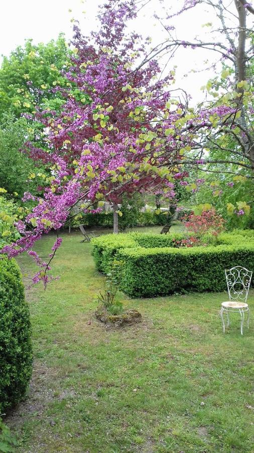 Manoir De La Chapelle Bed and Breakfast Condé-sur-Sarthe Εξωτερικό φωτογραφία